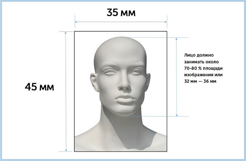 Требования к фото для шенгенской визы
