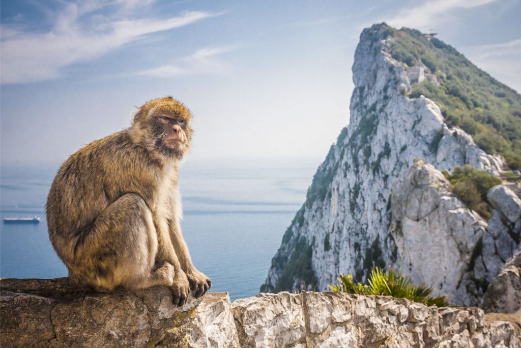 Какие документы нужны для поездки в Гибралтар?